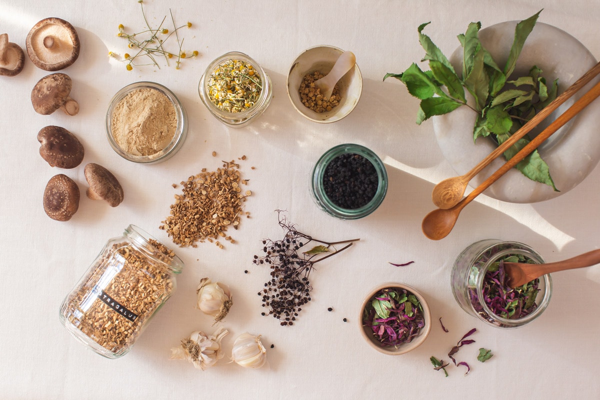 5 Herbs to Boost Your Immune System